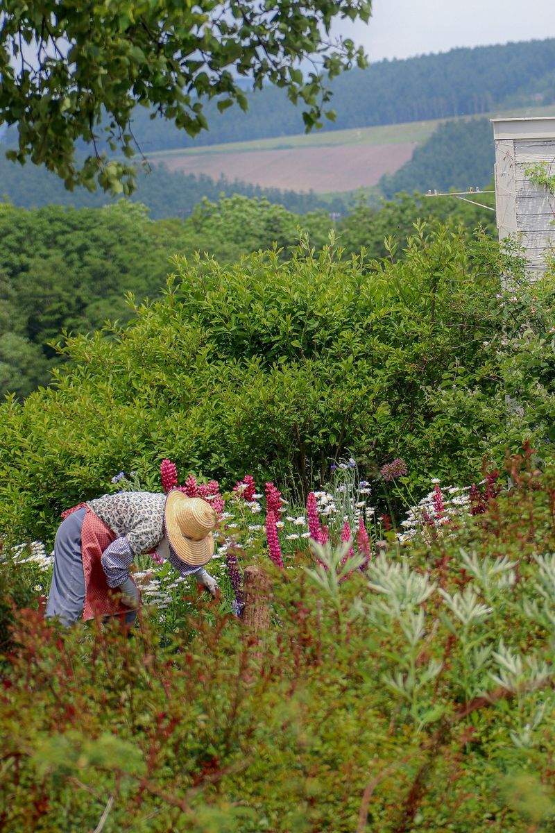 花壇・植栽の設計施工