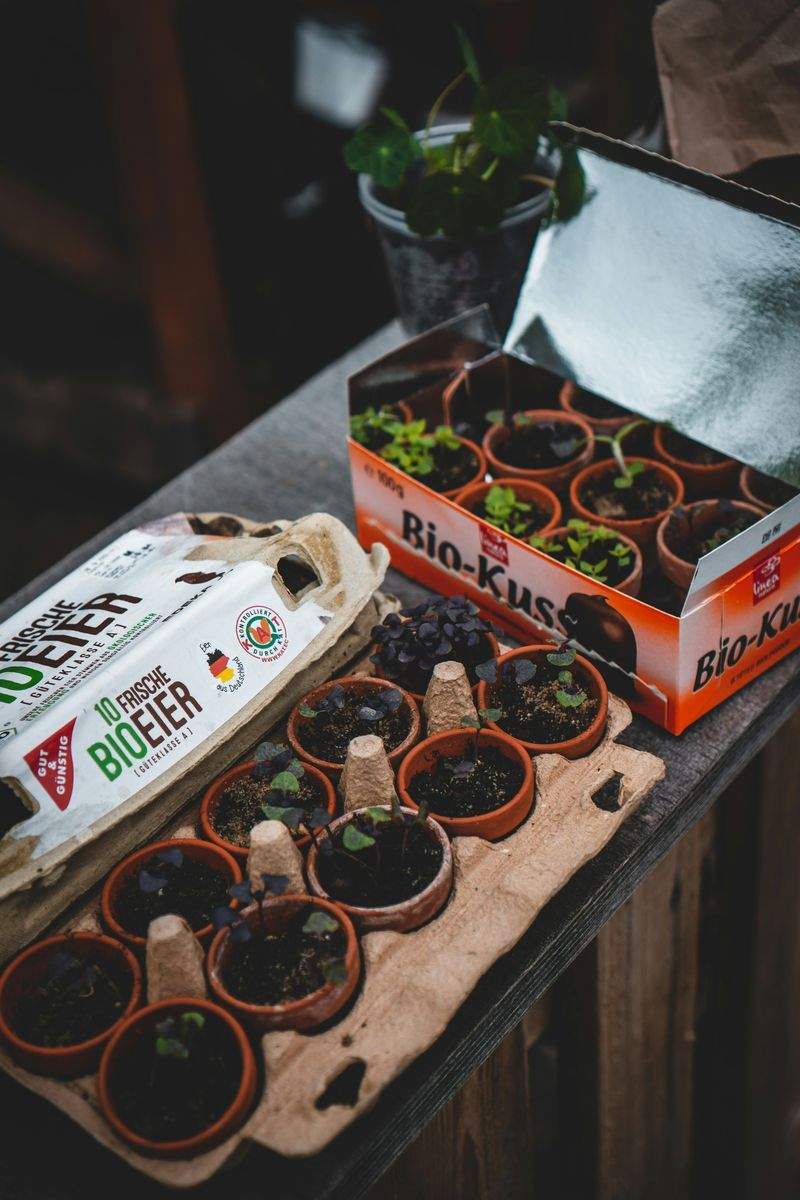 季節の寄せ植え制作